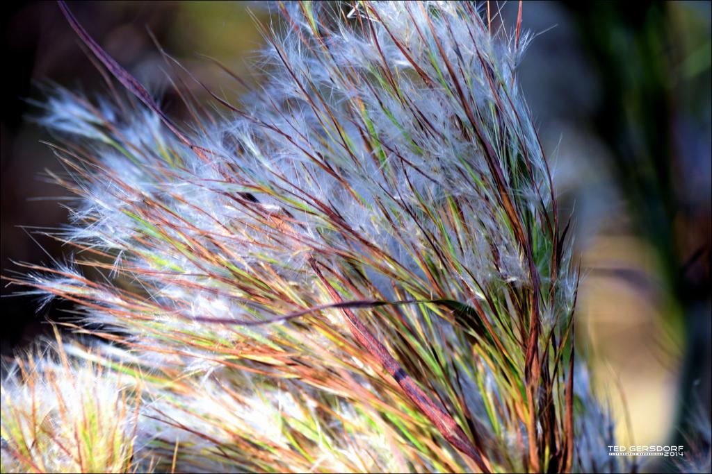 Loxahatchee 10-28-14    4.jpg