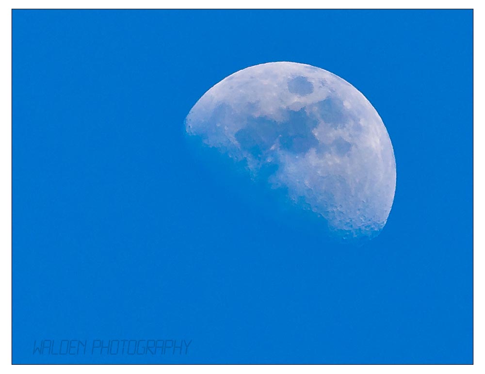Luna.jpg
