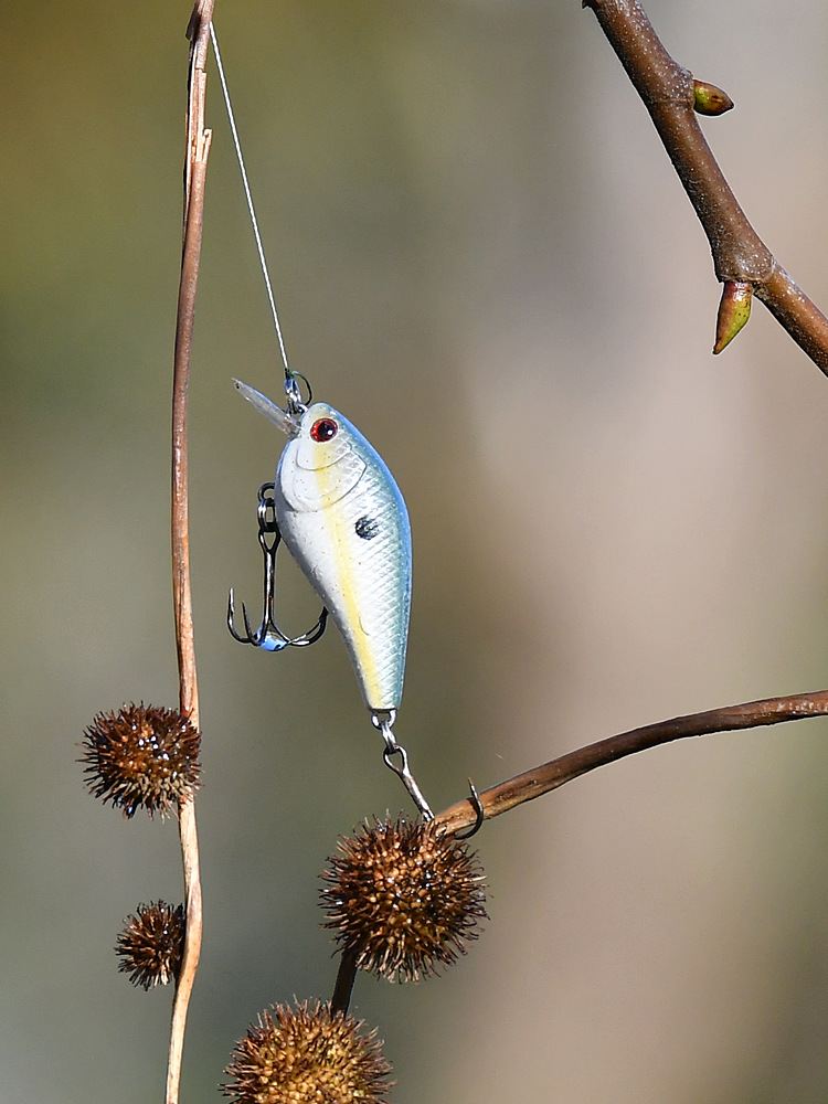 Lure2_2017_01_01.jpg