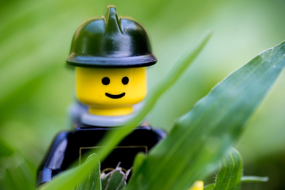 Macro man-1-4.jpg