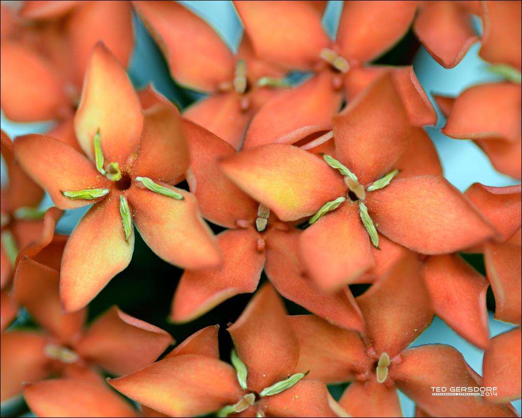 Macro Practice   1.jpg
