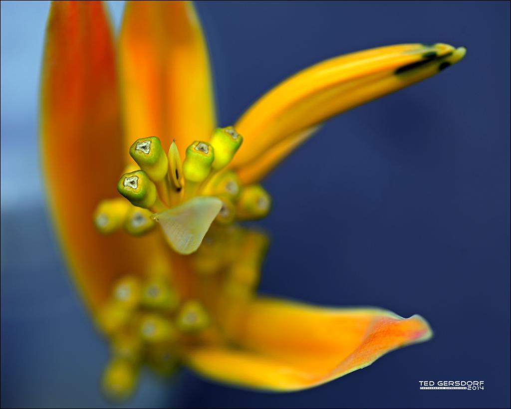 Macro Practice   3.jpg