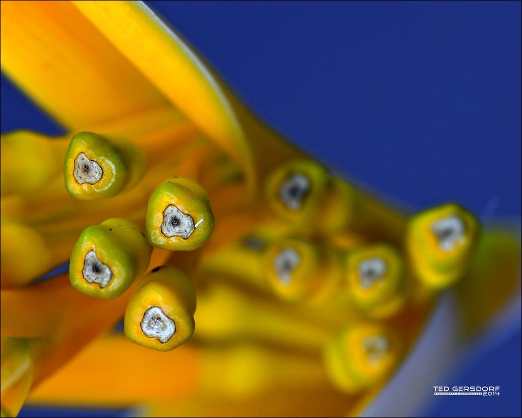 Macro Practice   4.jpg