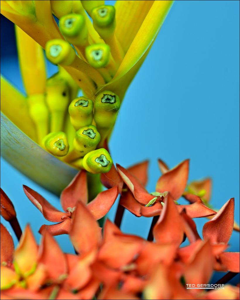 Macro Practice   7.jpg