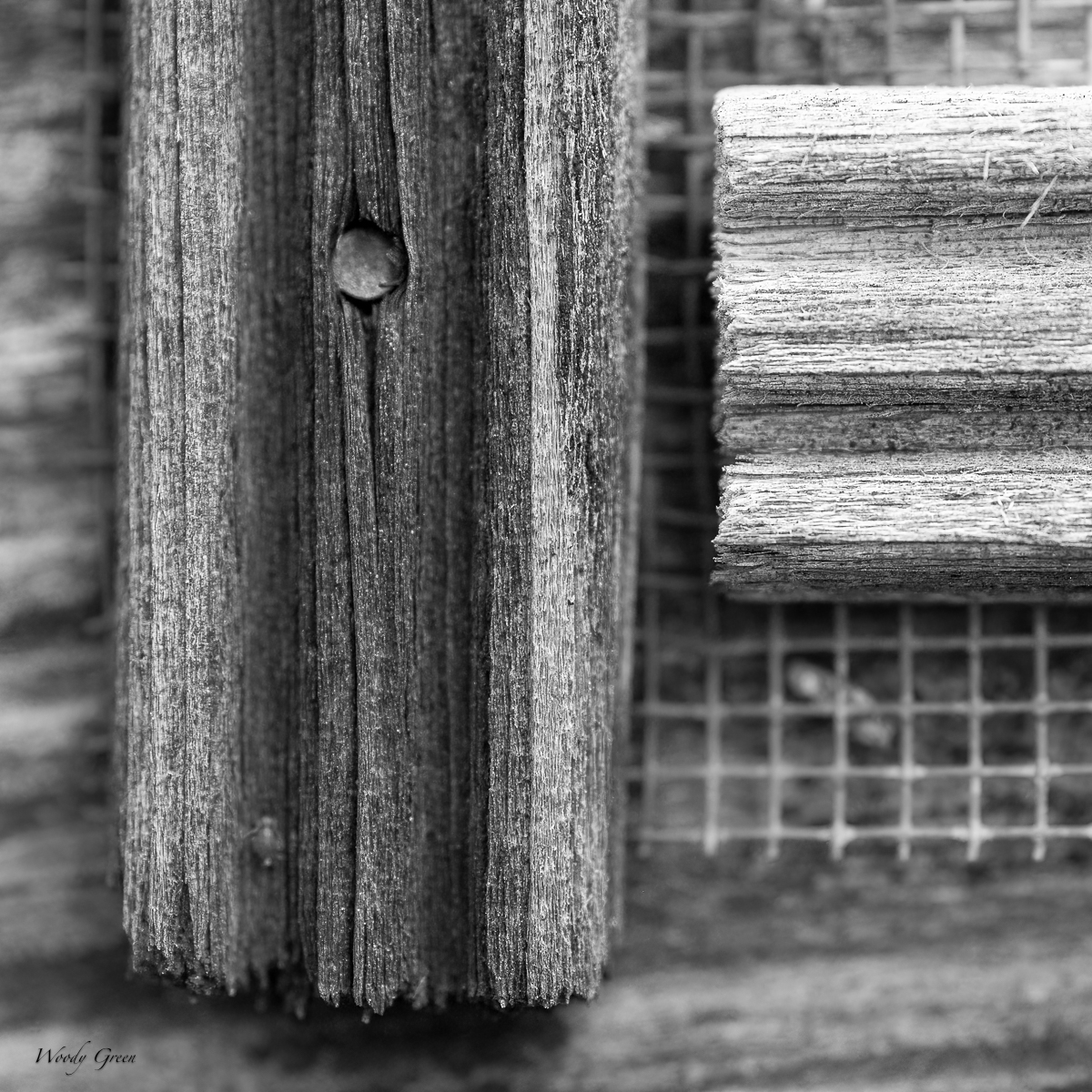 MacroAbstracts-5.jpg