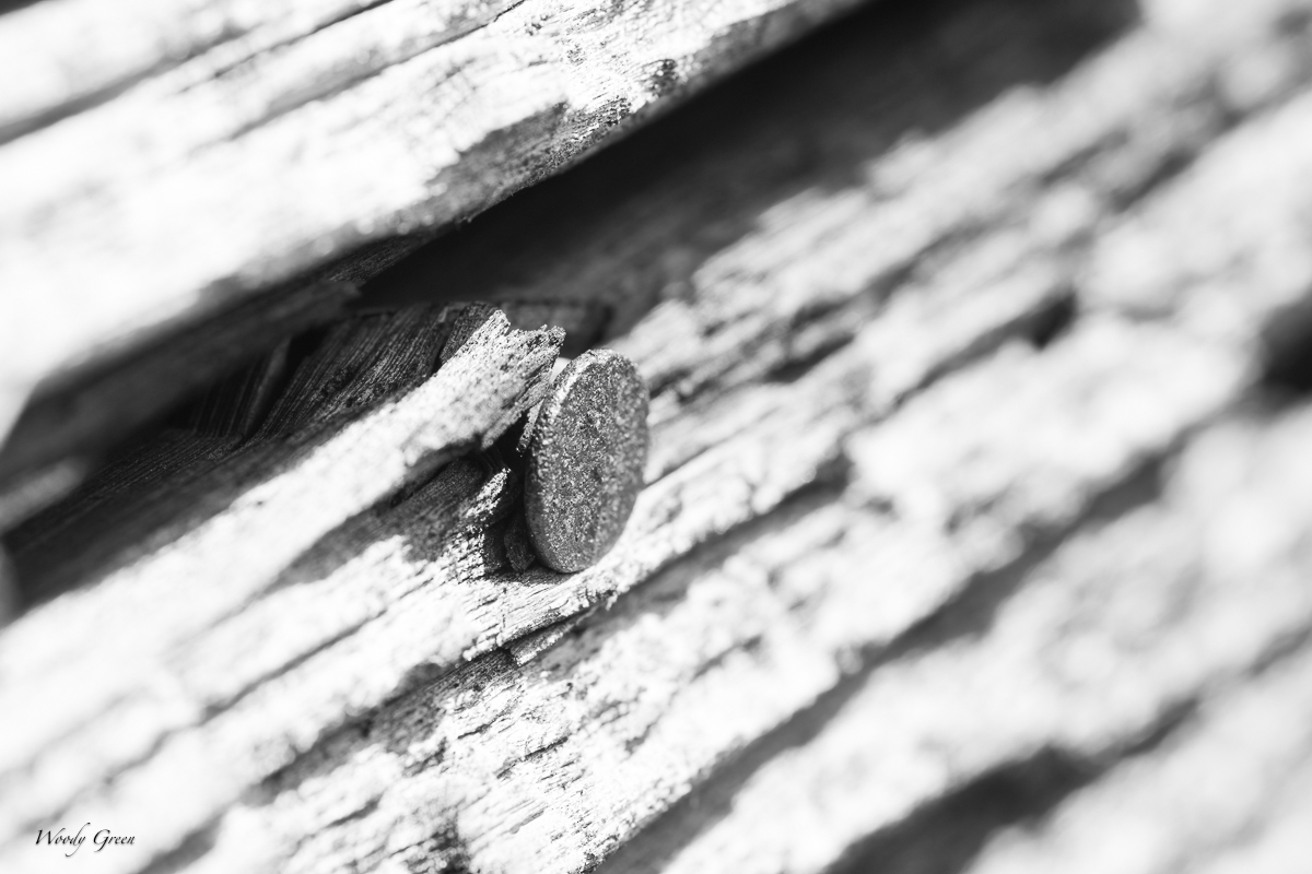 MacroAbstracts-6.jpg