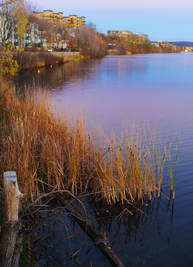 Magog river.jpg