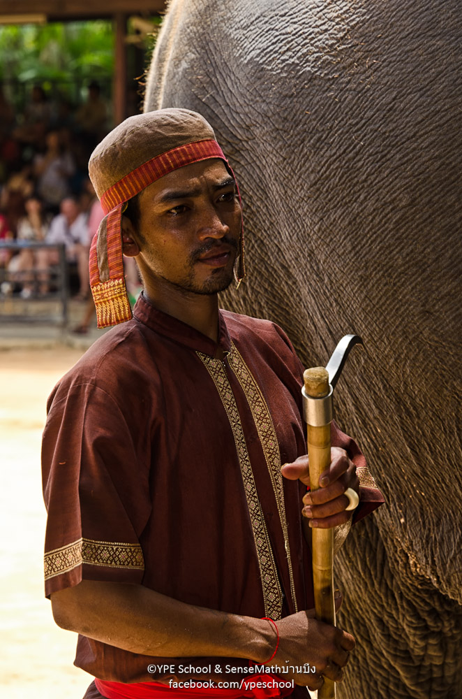 mahout-1.jpg