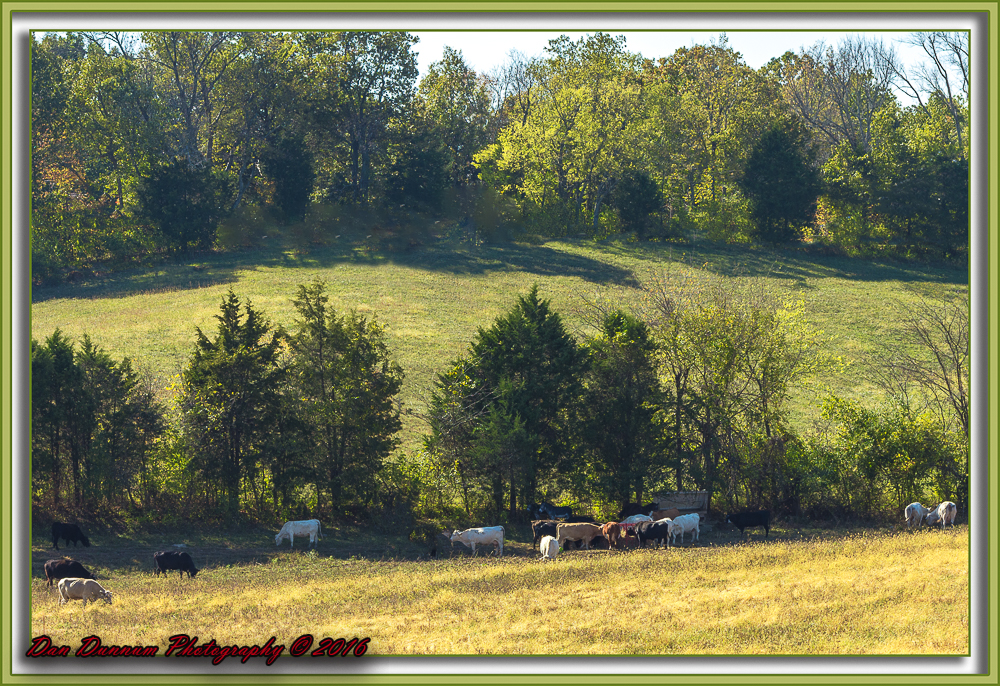 Mail Run-6392-Edit.jpg