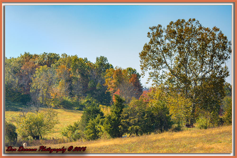 Mail Run-6395-Edit.jpg