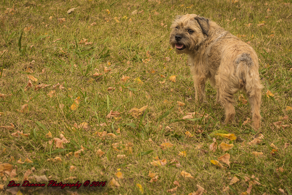 Mail Walk-6002.jpg