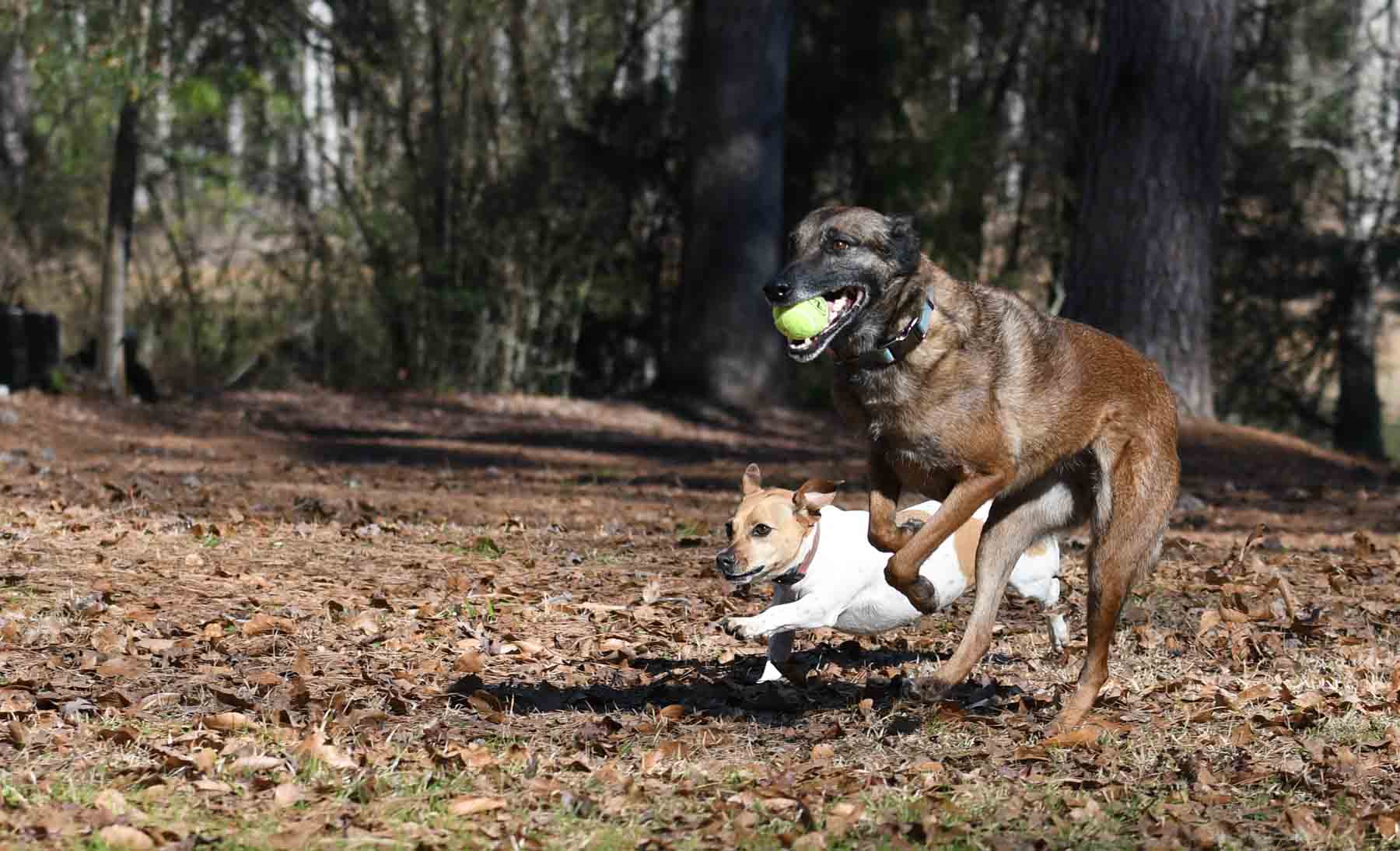 mali-and-alie-running-3-jpg.387607