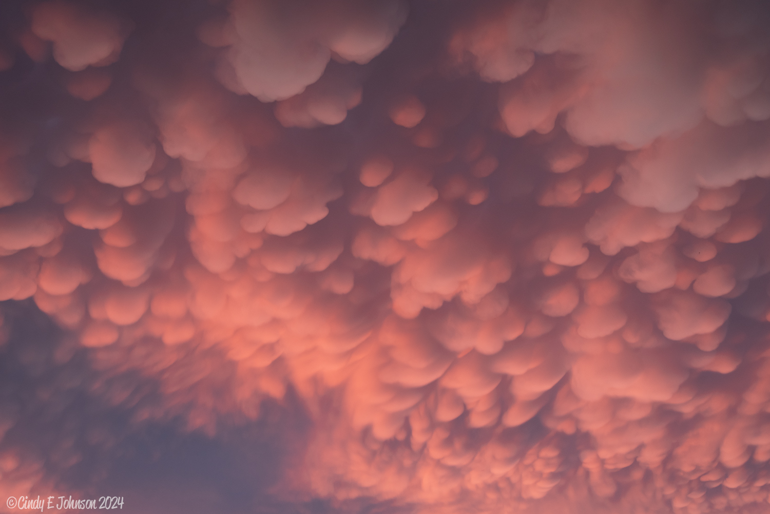 Mammatus clouds.jpg