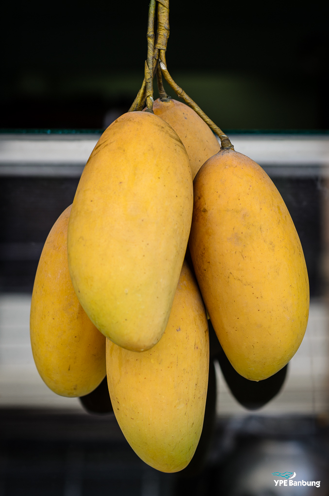 mangoes-at-banbung1-1.jpg