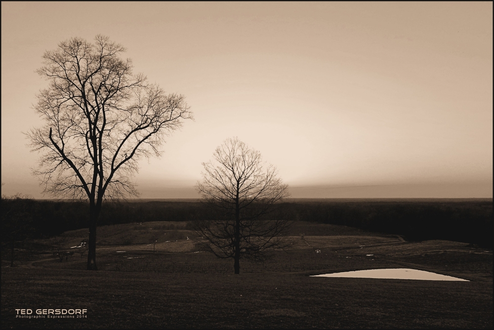 Mapleside Sunset 4-11-14 b Sepia_300.JPG