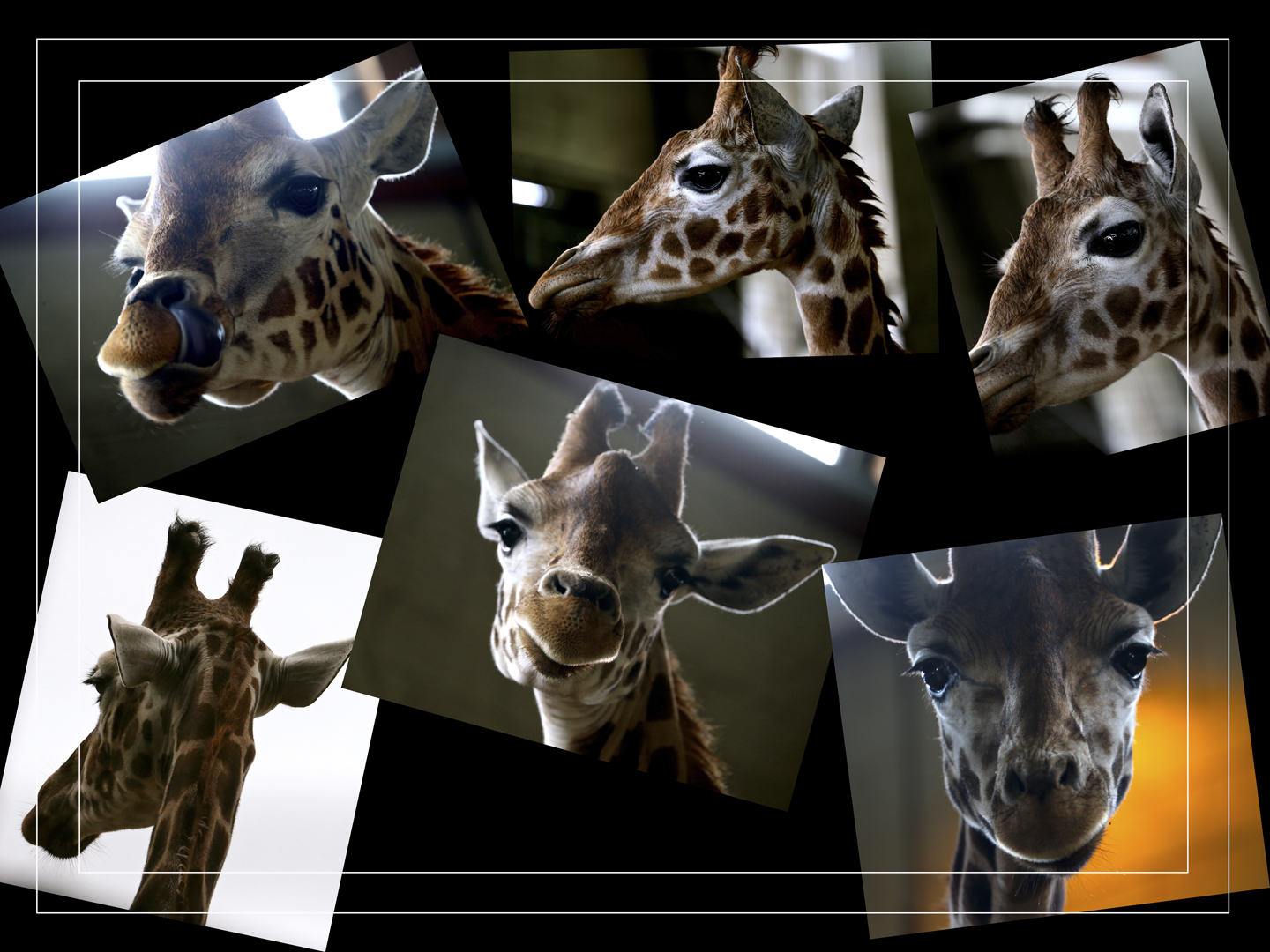 marwell2.jpg