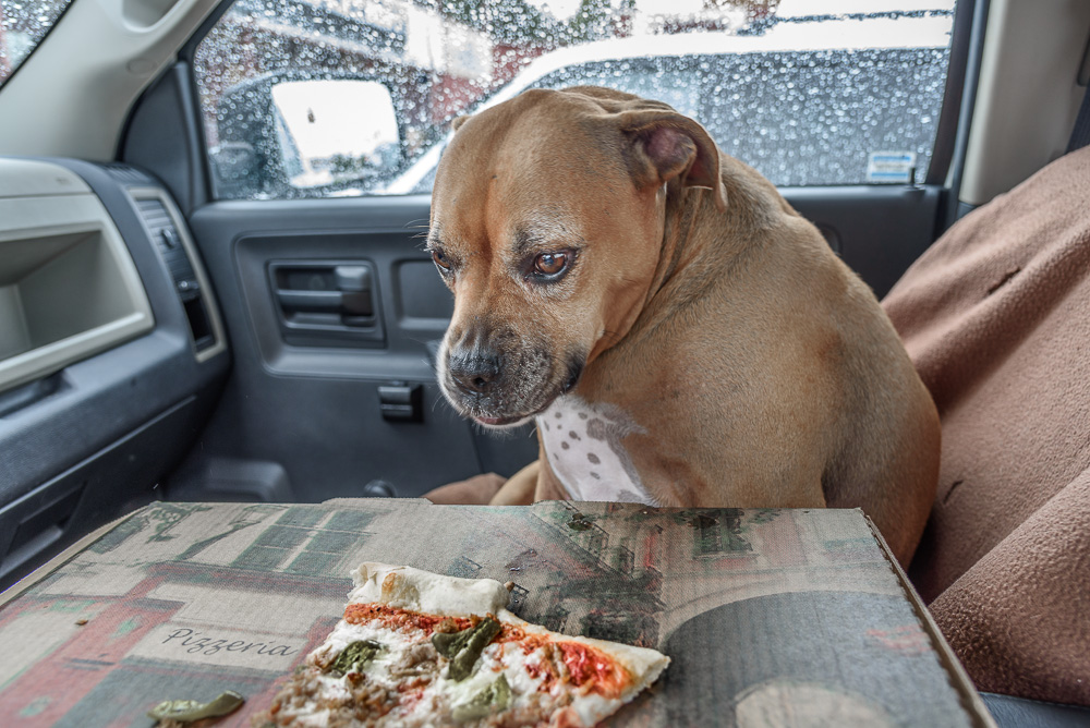 max$pizza.jpg