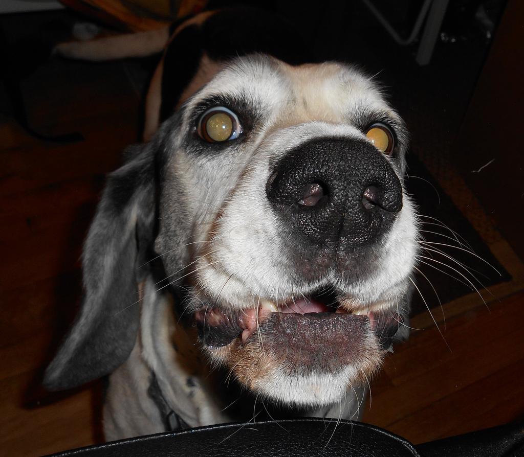 max2.jpg