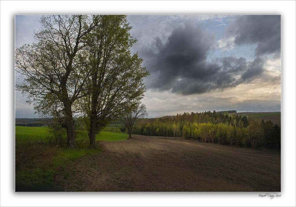 MCA_6621-HDR-Modifier.jpg