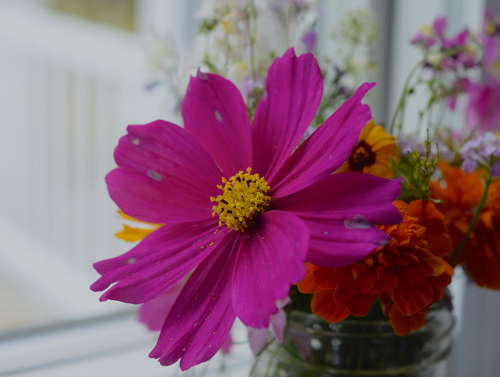 MCC_0092 - copie.jpg