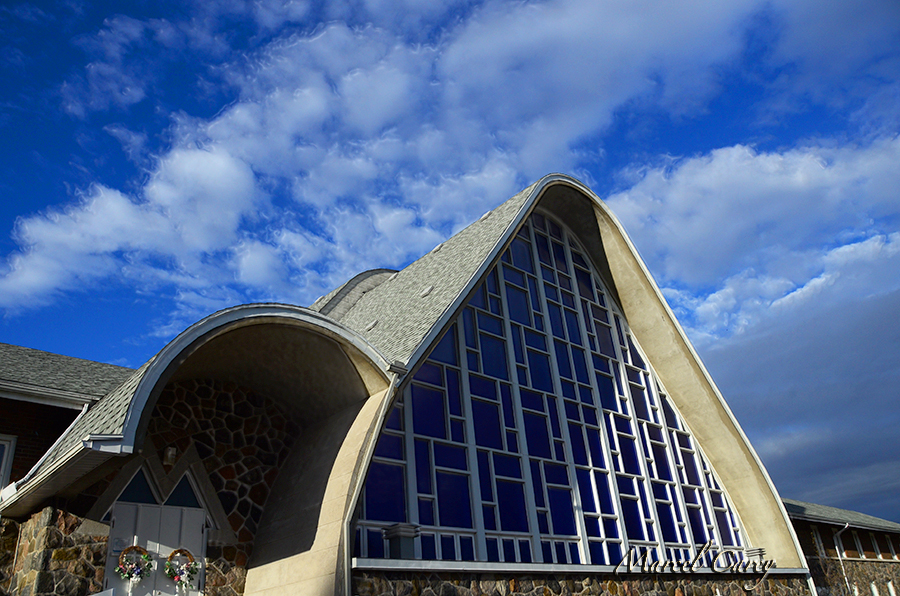 MCC_3961.jpg