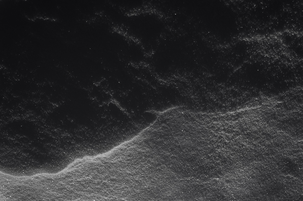 MCC_5170.jpg