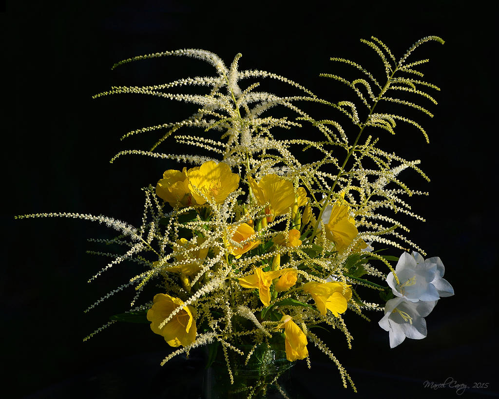 MCC_7580.jpg