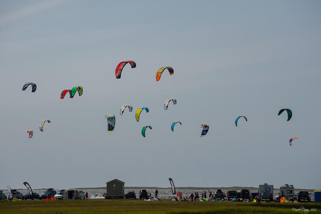 MCC_8186.jpg