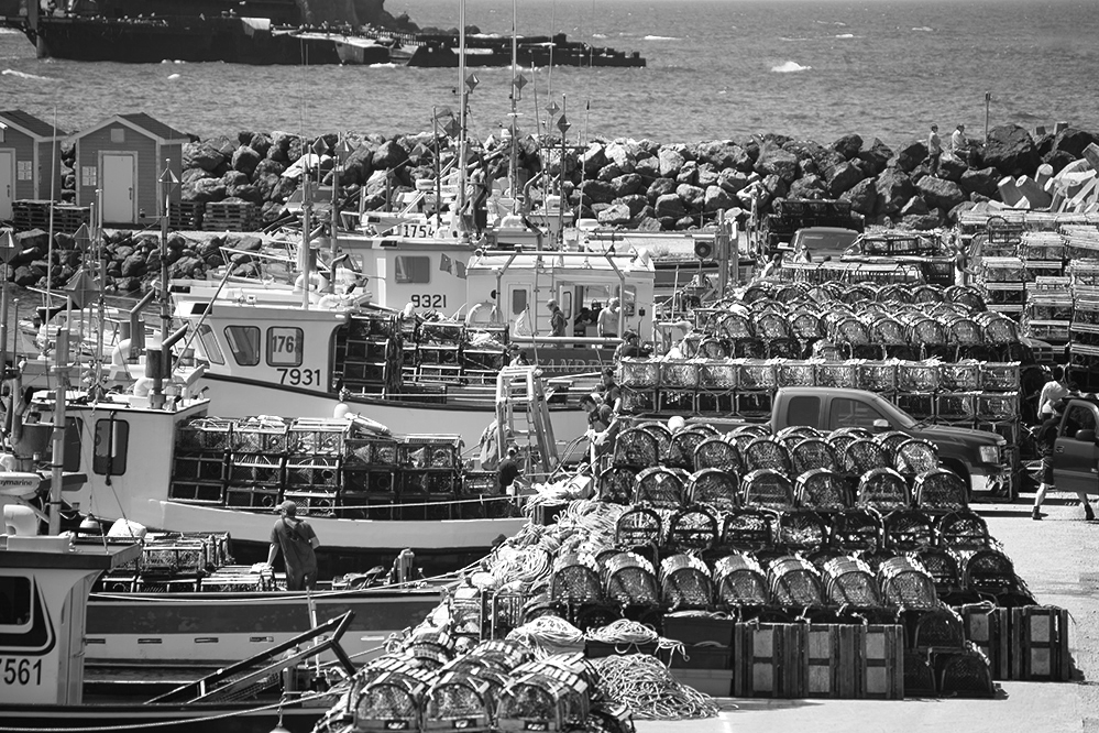 MCC_8307 copy B&W.jpg