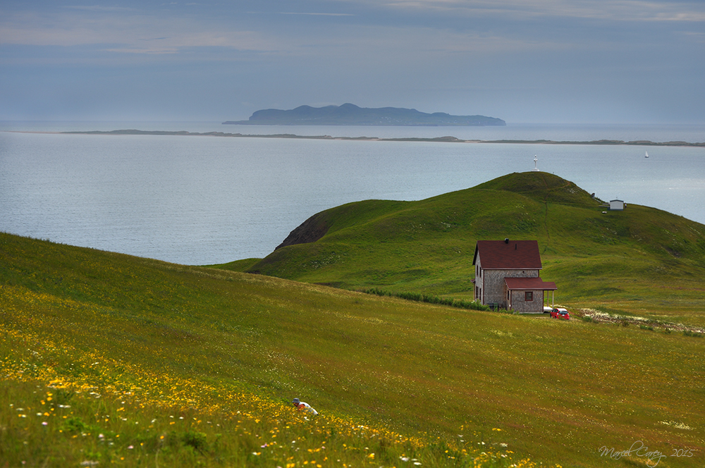 MCC_8353_4_5_6_7_tonemapped.jpg