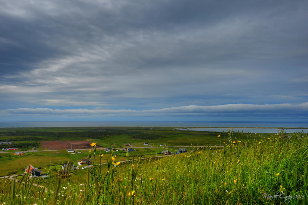 MCC_8391_4_5_tonemapped.jpg