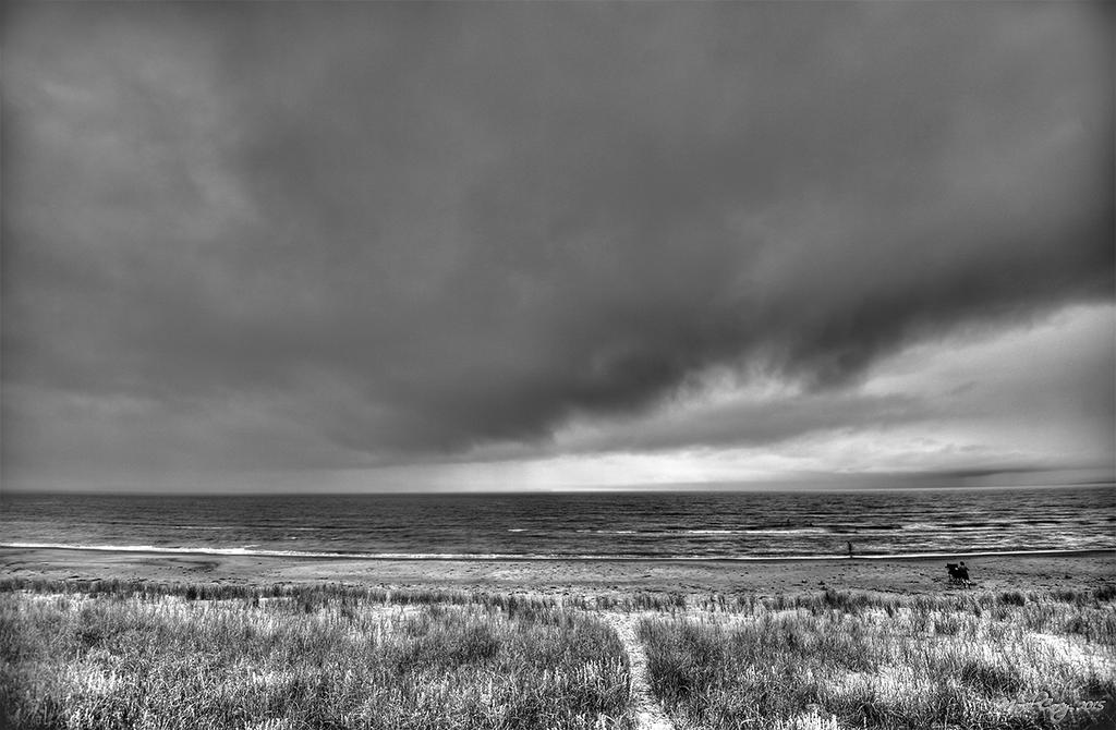 MCC_8670_1_2_3_4_tonemapped.jpg