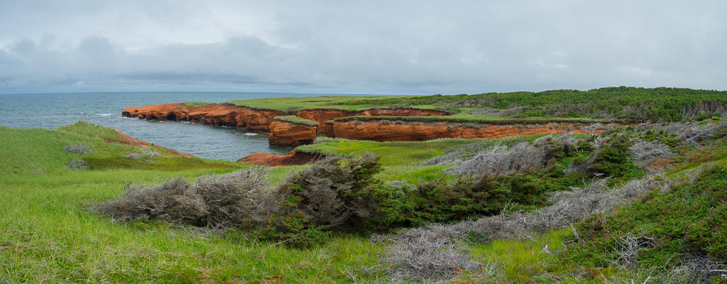 MCC_8897-Panorama.jpg