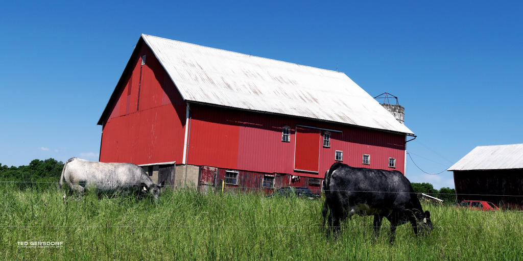 Medina Barns 10_1039.jpg