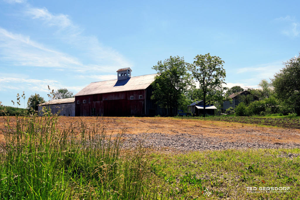 Medina Barns 4_1033.jpg