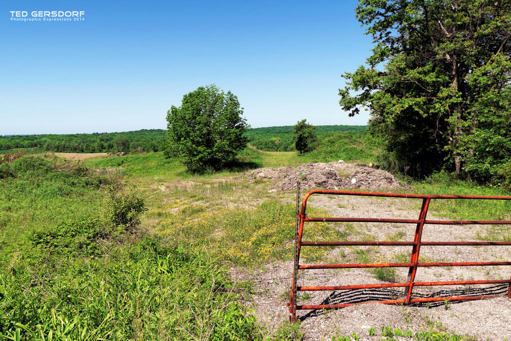 Medina Barns 5_1034.jpg