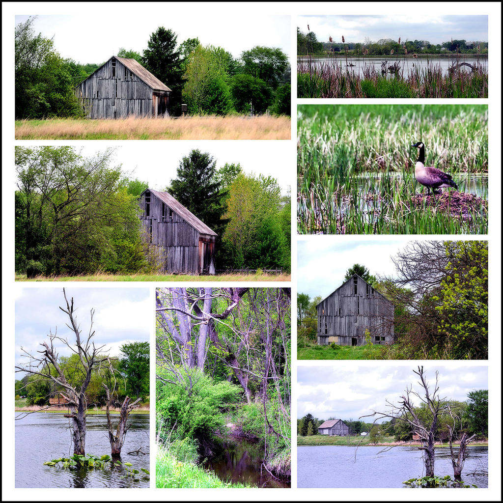 Medina's Buckeye Park2.jpg