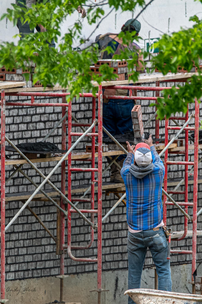 Men at work-507320.jpg