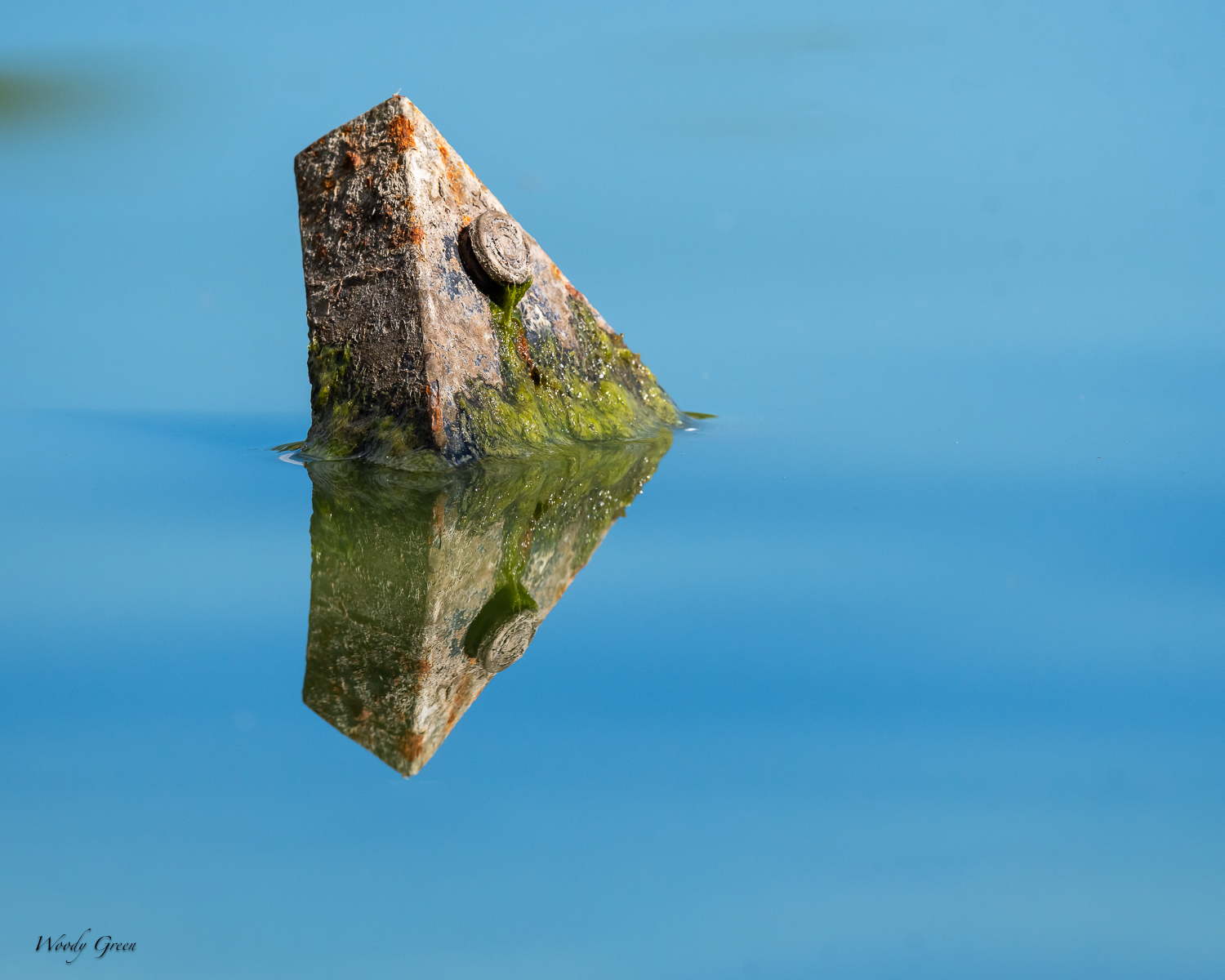 MetalThingInWater-283.jpg