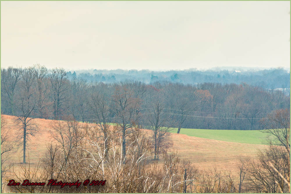 Mid day-8834-Edit.jpg