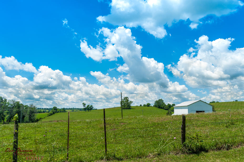 Mid Day Clouds-5995.jpg