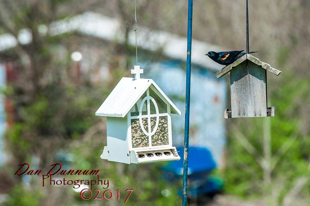 Mid Day Porch Sitting-4055.jpg