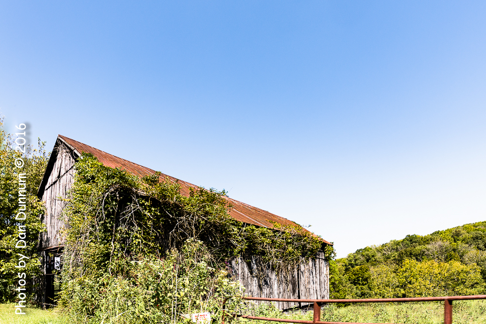 Mid Day Ride-3766-Edit.jpg