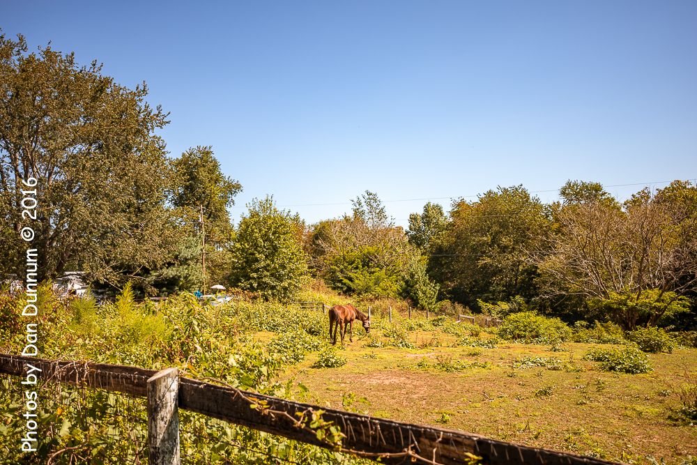 Mid Day Ride-3792.jpg