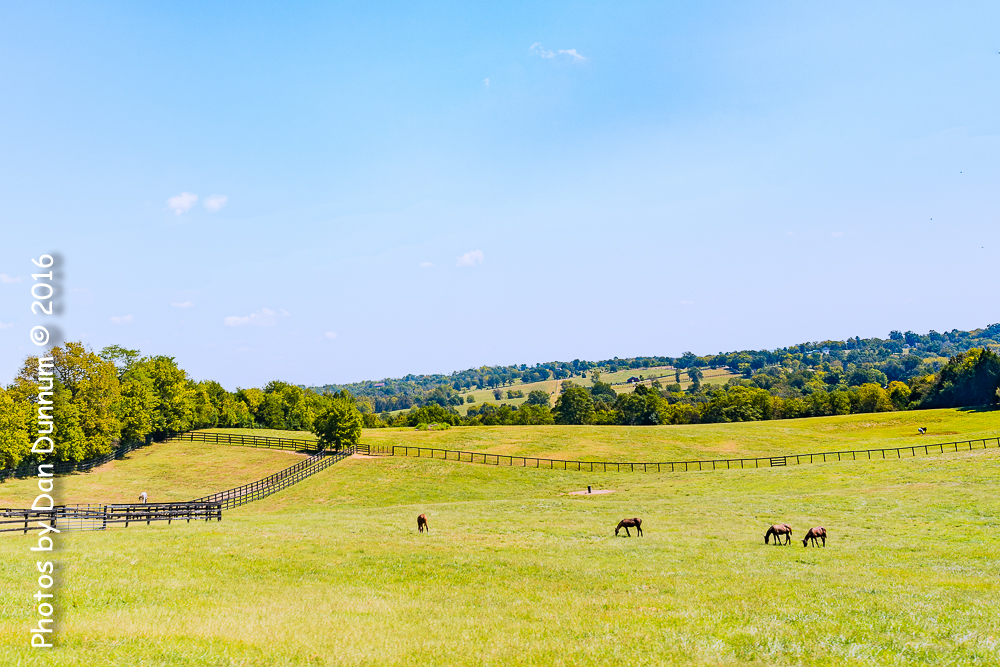 Mid Day Ride-3802-Edit.jpg