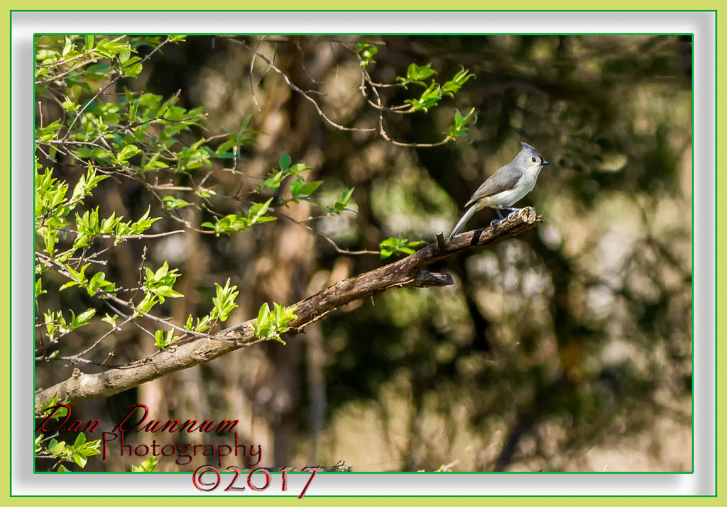 Mid Day Walk-1393-Edit.jpg