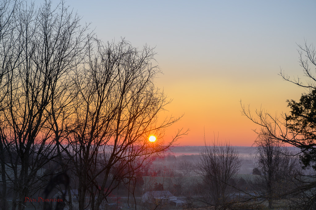 Mid day walk-60233.jpg
