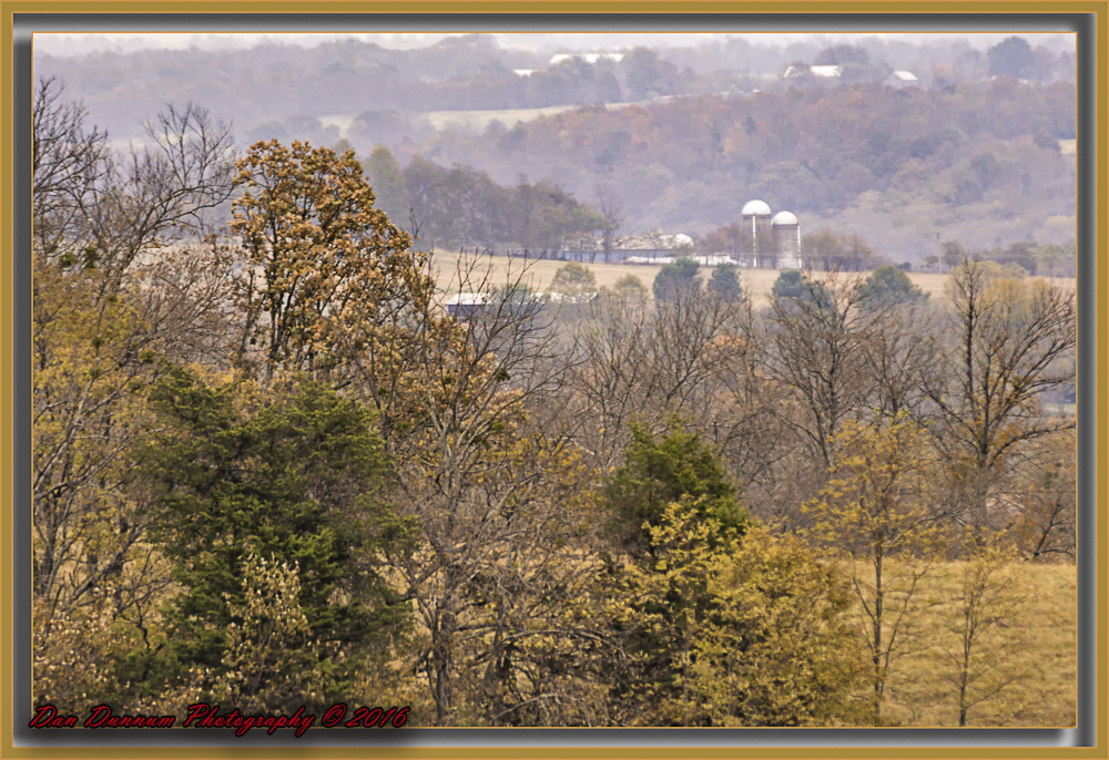 mid day walk-6504-Edit.jpg
