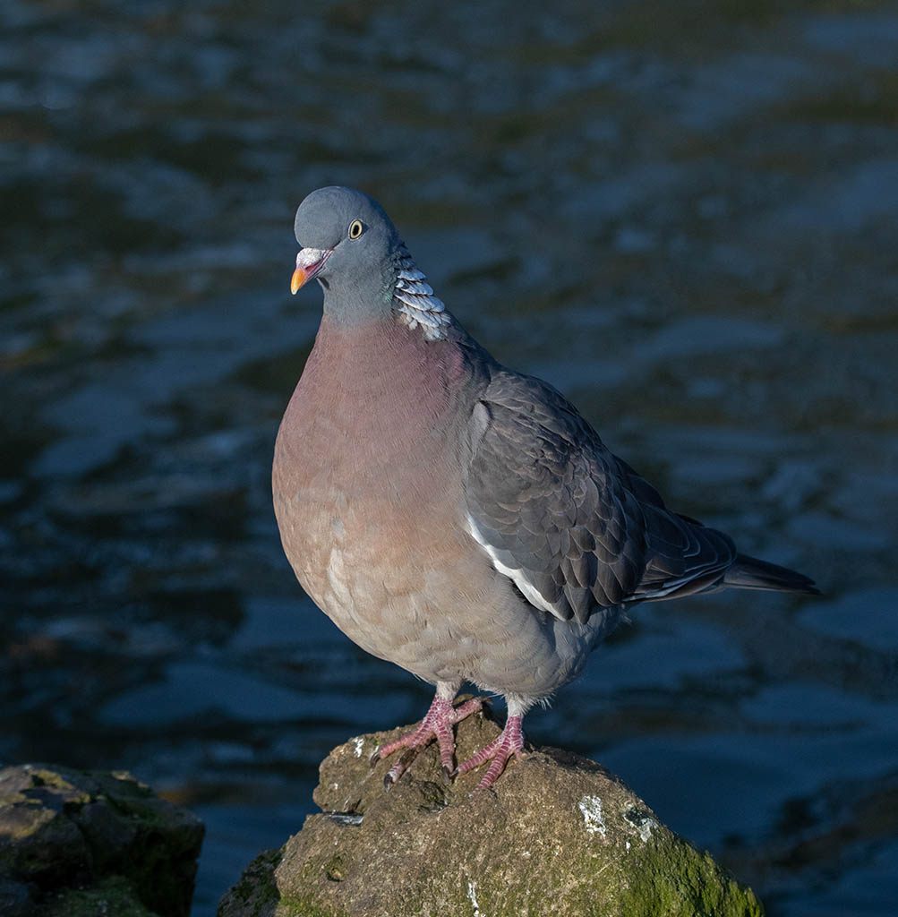 MIK_1292.jpg