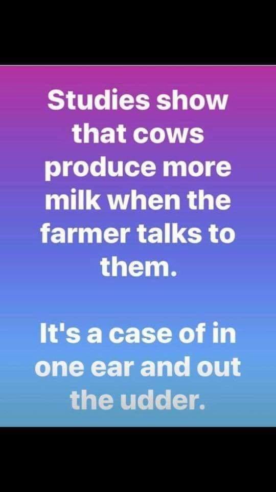 milk.jpg